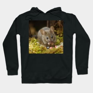 Wild  cute garden mouse Hoodie